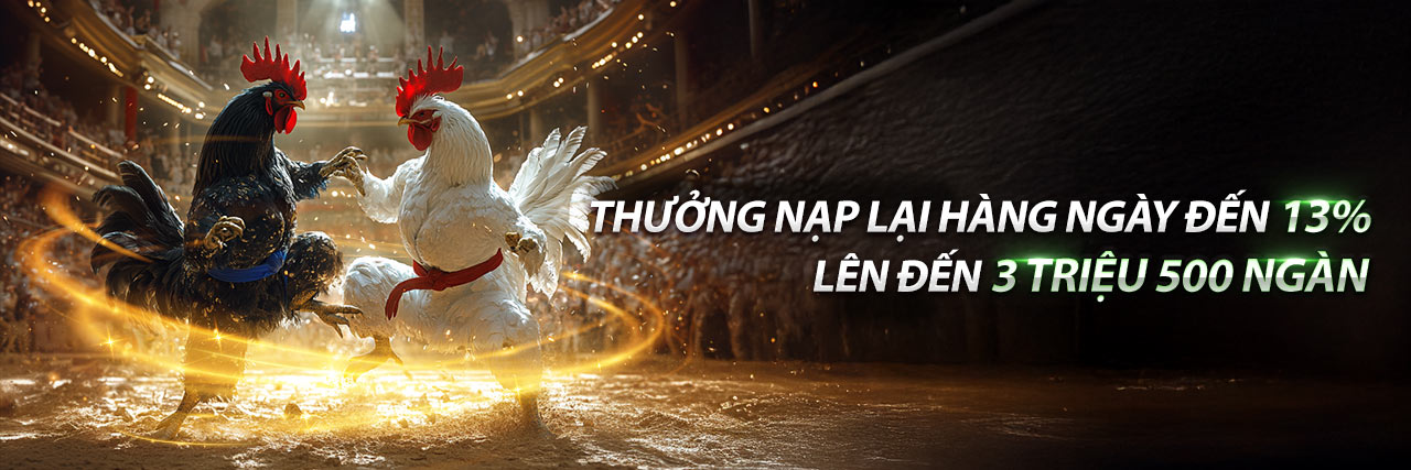 Hình ảnh chọi gà trực tuyến và các trò chơi eSports tại shbet1, thể hiện sự đa dạng của các loại hình giải trí.
