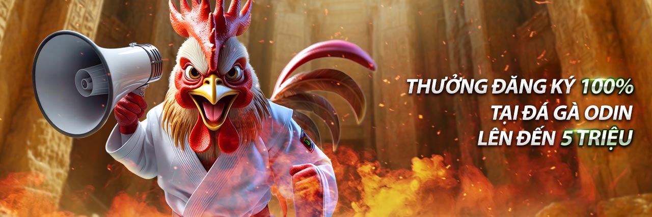 Tài nguyên shbet1, hướng dẫn cá cược, mẹo chơi hiệu quả